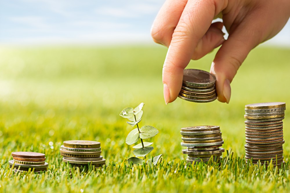 Green Investments: The Growing Influence of ESG in 2024